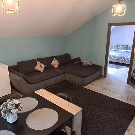 Comfort Home Apartment 3 Petroşani Eksteriør billede