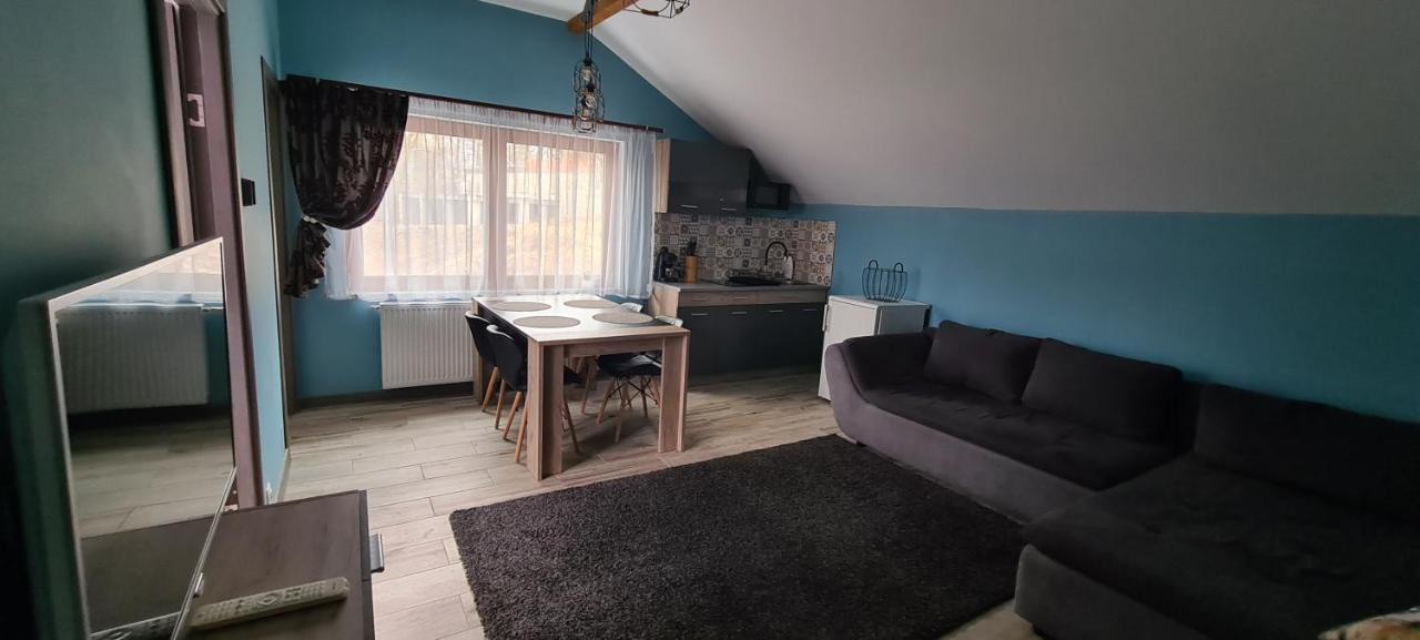 Comfort Home Apartment 3 Petroşani Eksteriør billede